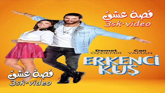 مسلسل طائر الصباح مترجم